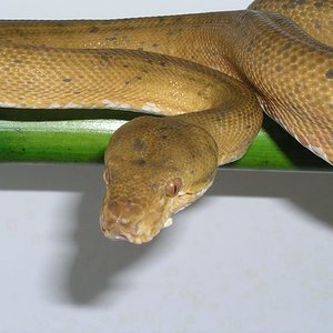 P1010010 [640x480].JPG