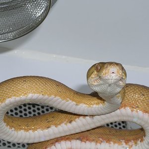 P1010020 [640x480].JPG