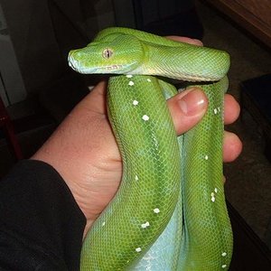 DSCF1066 (Small).JPG