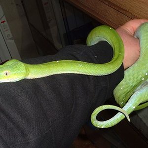 DSCF1068 (Small).JPG