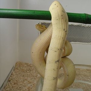 P1010001 [640x480].JPG