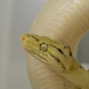 P1010002 [640x480].JPG