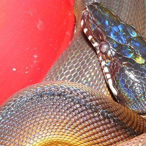 DSCF0027 (Medium).jpg