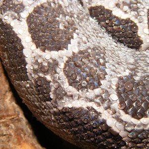 DSCF0017 (Medium).jpg