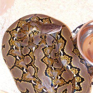 DSCF0001 (Medium).jpg