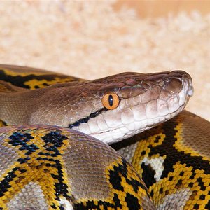 DSCF0003 (Medium).jpg