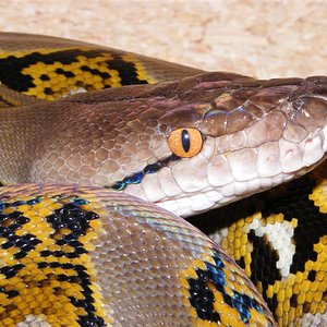 DSCF0004 (Medium).jpg