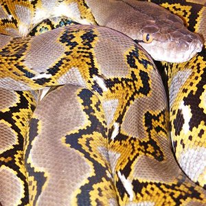 DSCF0005 (Medium).jpg