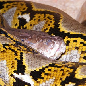 DSCF0006 (Medium).jpg