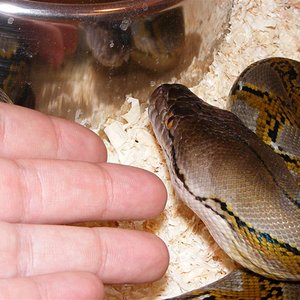 DSCF0009 (Medium).jpg