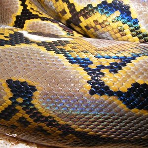 DSCF0011 (Medium).jpg