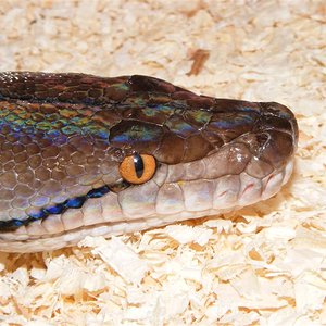 DSCF0012 (Medium).jpg