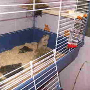 con bolita dentro.jpg