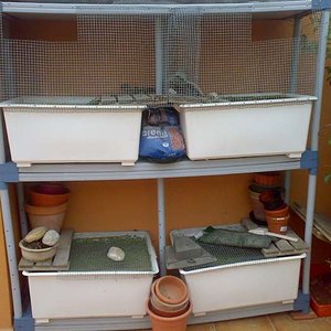 containers exterior.jpg