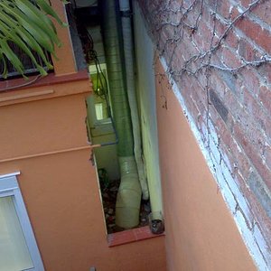 proyecte paludari chelus 3.jpg