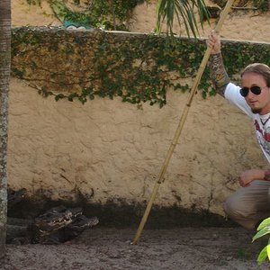 DSC04505 [800x600].JPG