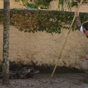 DSC04506 [800x600].JPG