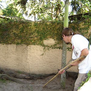 DSC04507 [800x600].JPG