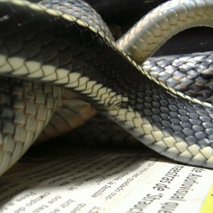 DSCF4466 [800x600].JPG