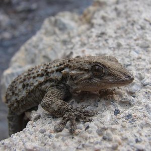 DSC02031 (Large).JPG