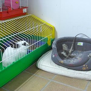 klami con su amigo ...JPG