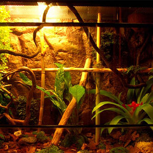 DSC_0027 copia copia.jpg