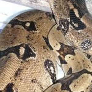 P1010002 [320x200].JPG