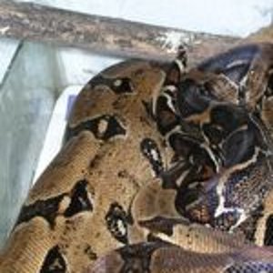 P1010006 [320x200].JPG