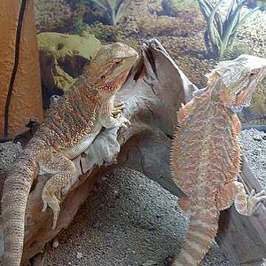 Imagen 174-reducido.jpg