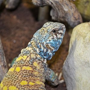 DSC_0134 (Large).jpg