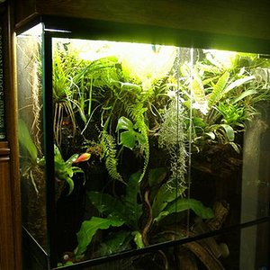 vista general vivario comunitario.jpg