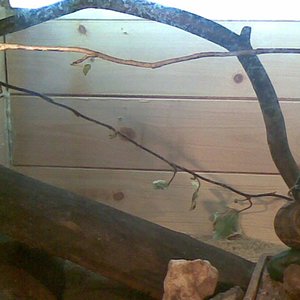 terrario fuente cueva.JPG