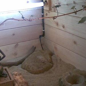 fuente comida piedra.JPG