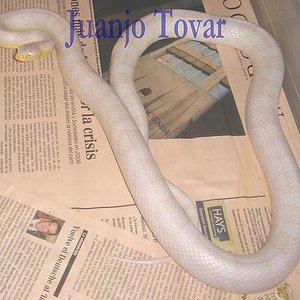 Blizzard padre TINO.JPG