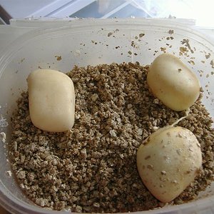 DSCF4705 (Medium).JPG