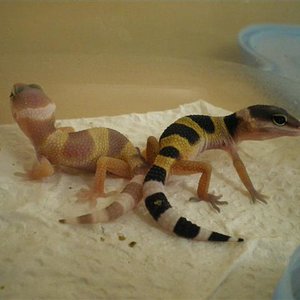 babys 09 004 (Small).jpg