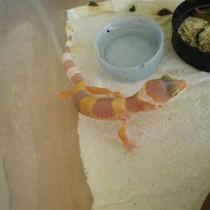 Babys evolucion 1 005 (Small).jpg