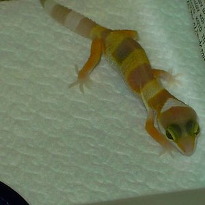 PICT5033 [640x480].JPG