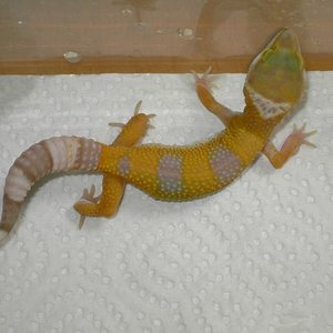 sunglow_1 [640x480].JPG