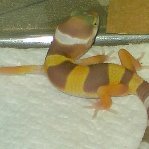 PICT5038 [640x480].JPG