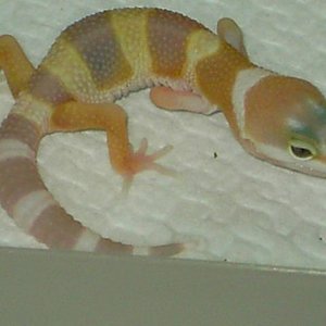 PICT5041 [640x480].JPG