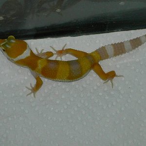 sunglow2 [640x480].JPG