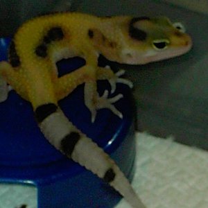 PICT5048 [640x480].JPG