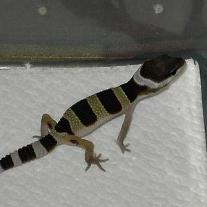 PICT5043 [640x480].JPG