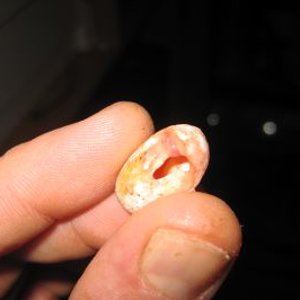 resized_comida y asis 037.jpg