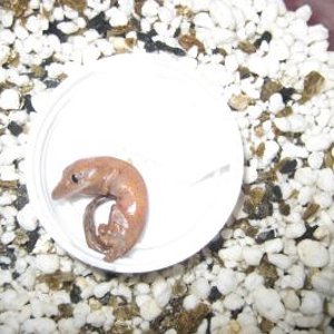 resized_comida y asis 039.jpg