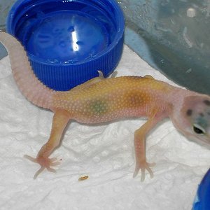 PICT5201 [640x480].JPG