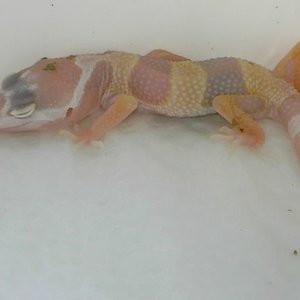 PICT5192 [640x480].JPG