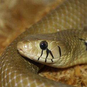 DSC08273 (Large).JPG