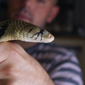 DSC08280 (Large).JPG